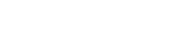 alma civica 2