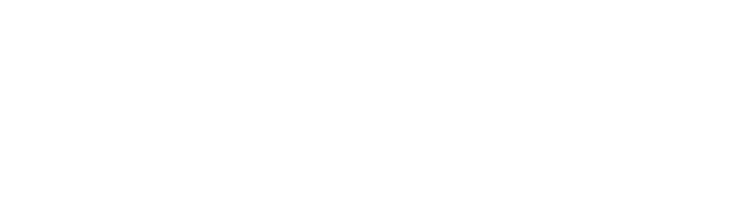faro digital 2