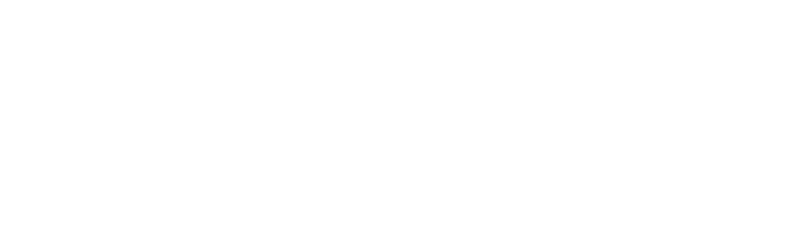 friederich ebert stiftung 2